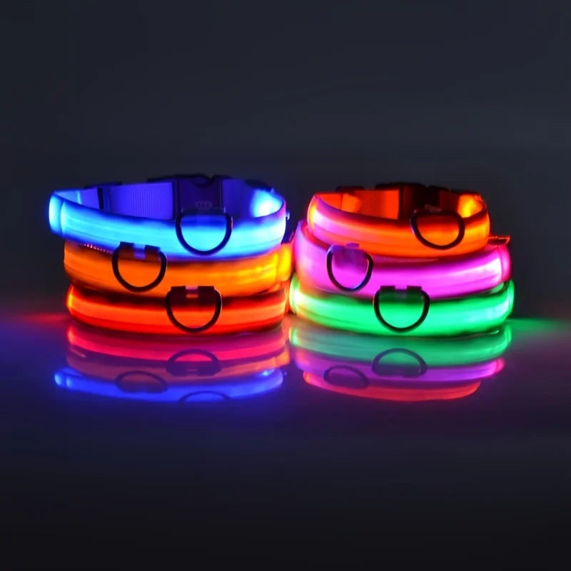 LED dog collars glowing in multiple colors