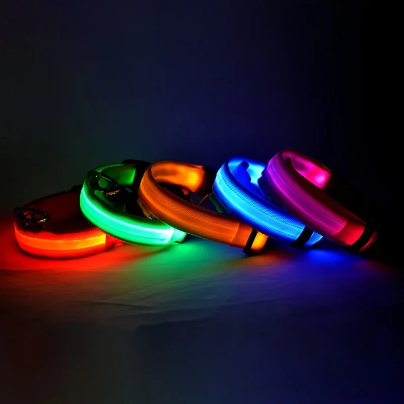 LED dog collars lined up glowing