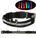 Safety Dog LED Collar