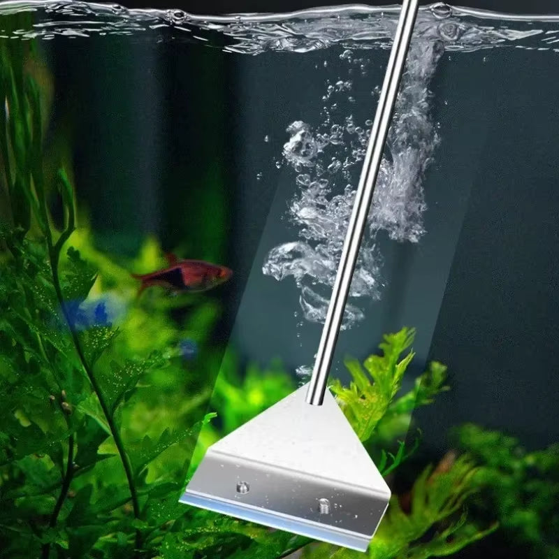 Aquarium algae scraper cleaning glass with fish nearby