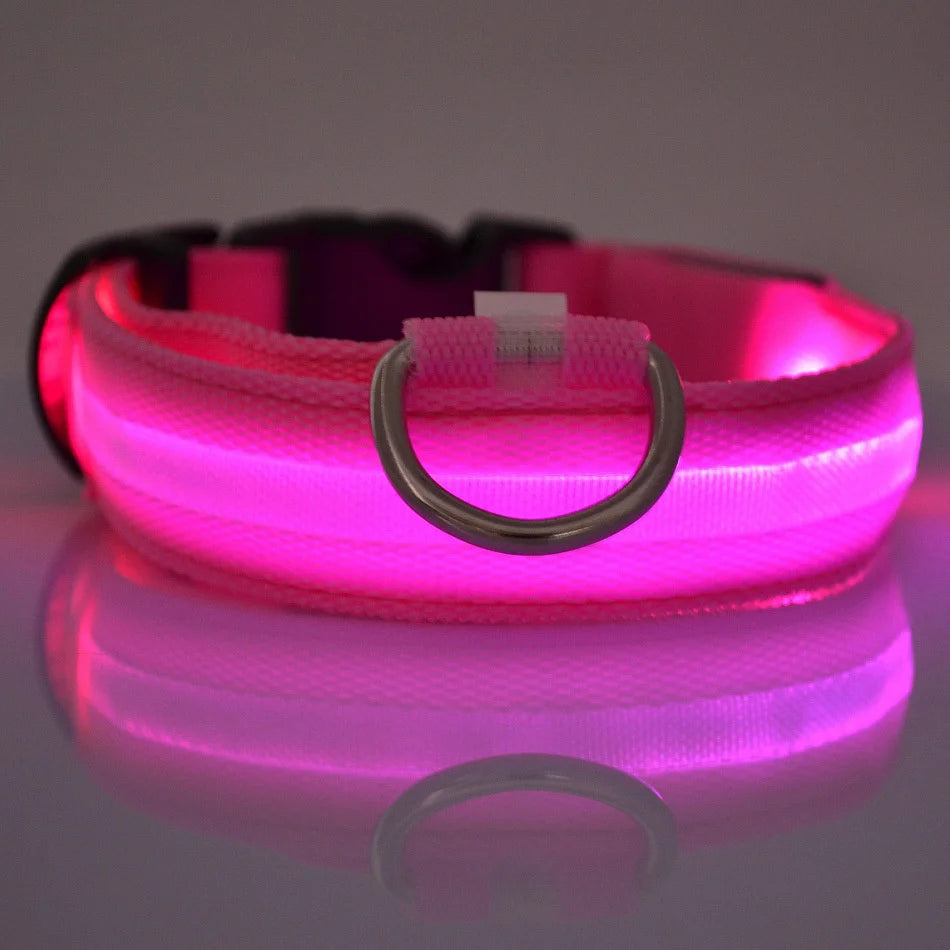 Pink LED dog collar glowing